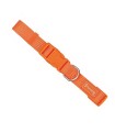 Freedog Collar Basico Nylon Naranja M - 15mm x35/50 cm