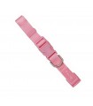 Collar Básico Nylon Rosa Freedog