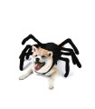 Disfraz para perro Araña